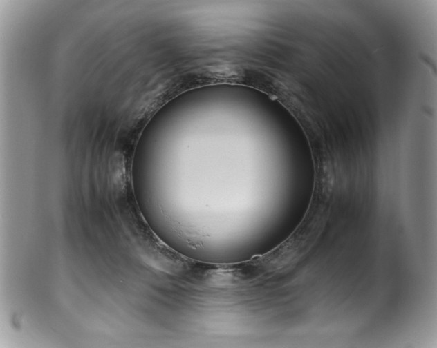 X0000100340320200806051544
