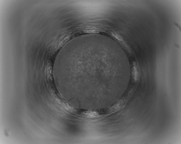 X0000100340322200806051544