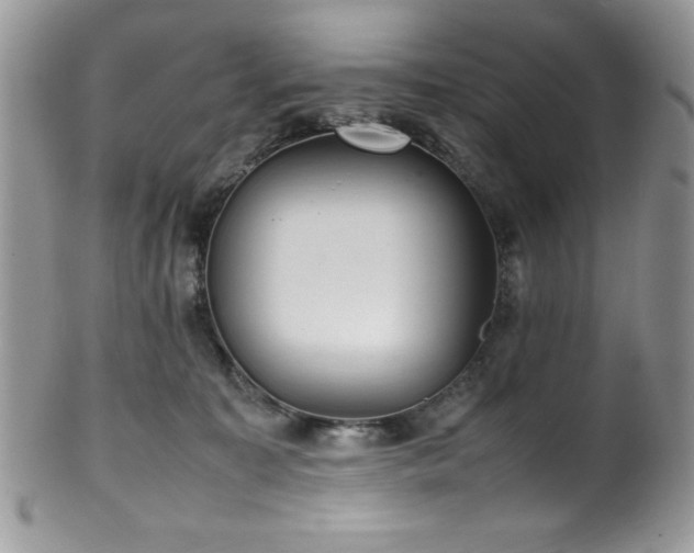 X0000100340323200806051544