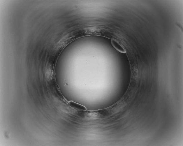 X0000100340324200806051544