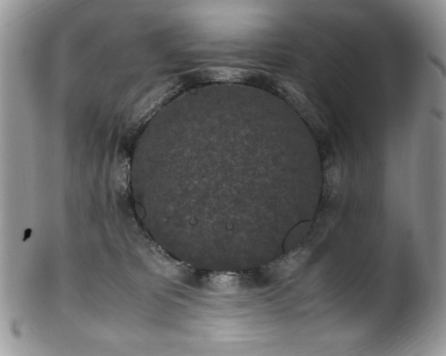 X0000100340325200806051544