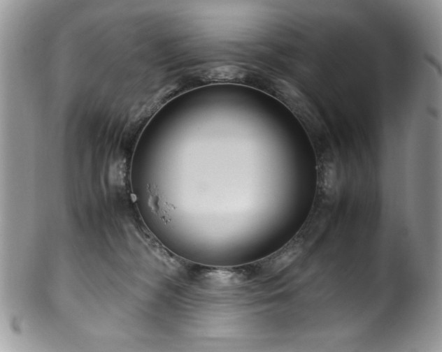 X0000100340326200806051544