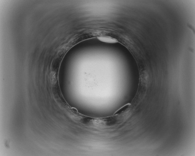 X0000100340327200806051544