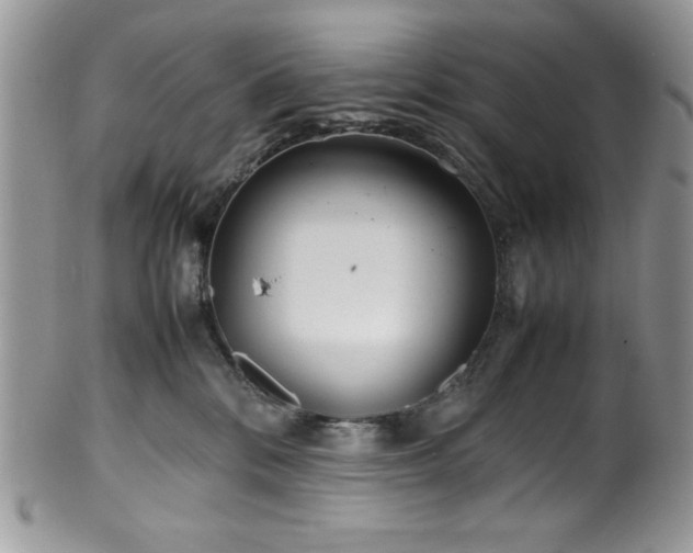 X0000100340328200806051544