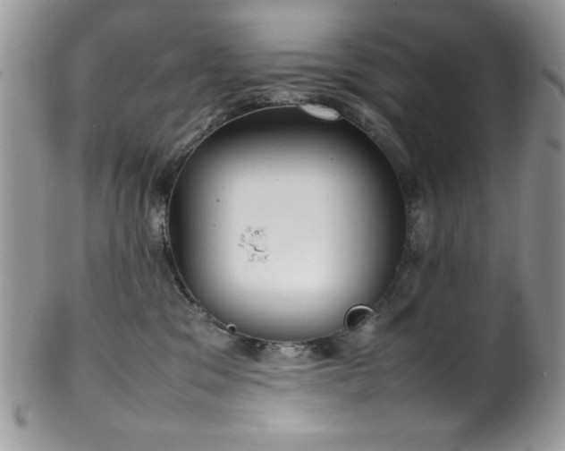 X0000100340329200806051544