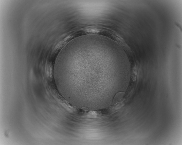 X0000100340330200806051544