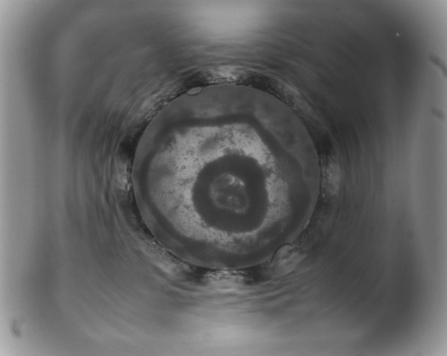 X0000100340331200806051544