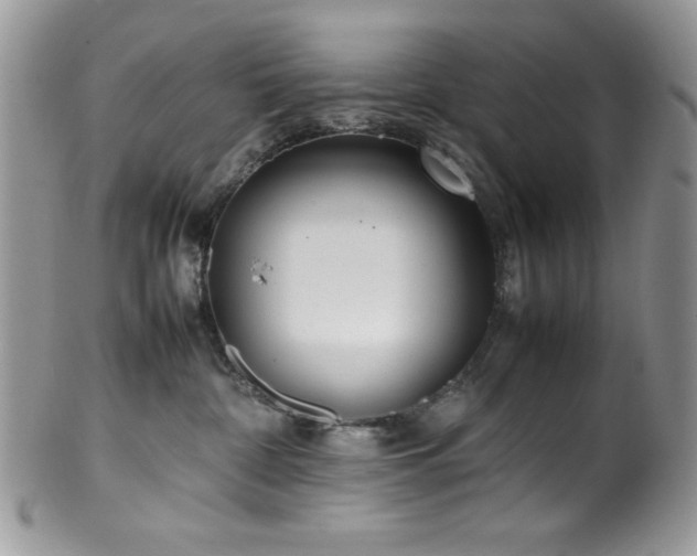 X0000100340332200806051544