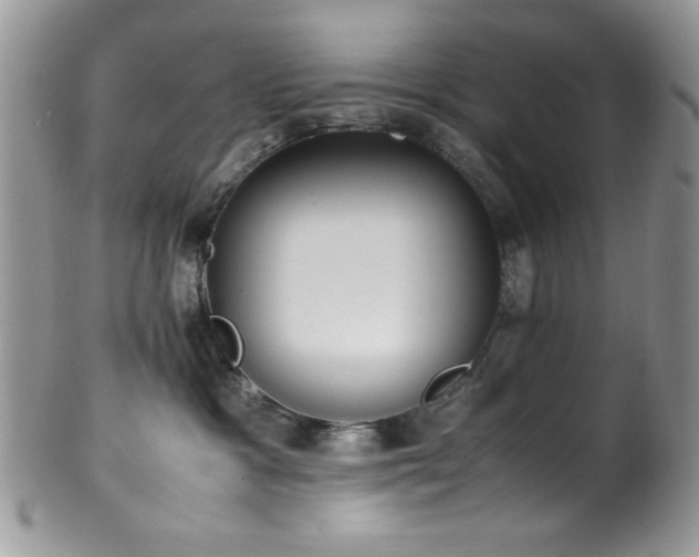 X0000100340333200806051544
