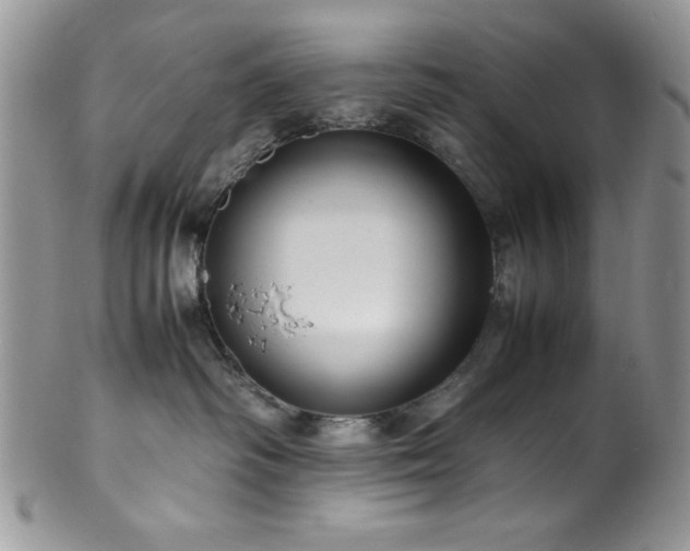 X0000100340334200806051544