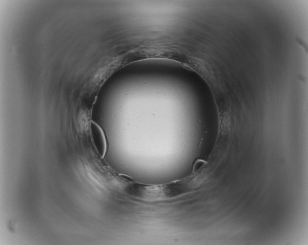 X0000100340335200806051544