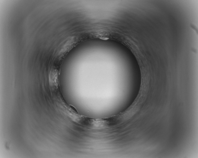 X0000100340336200806051544