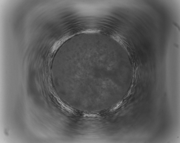X0000100340337200806051543