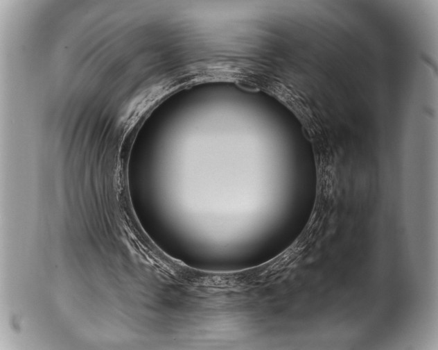 X0000100340338200806051543