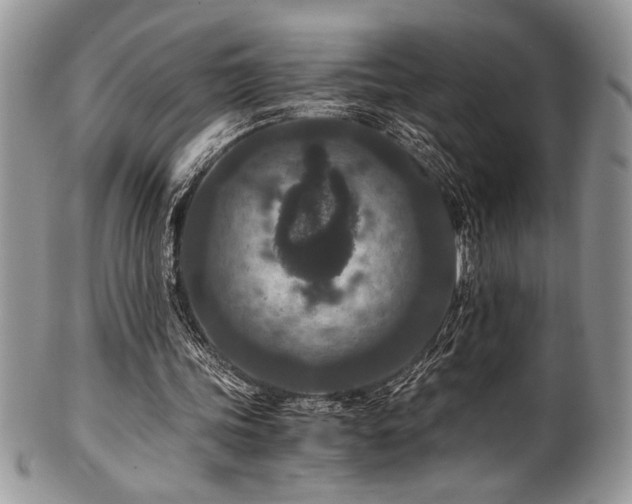 X0000100340339200806051543