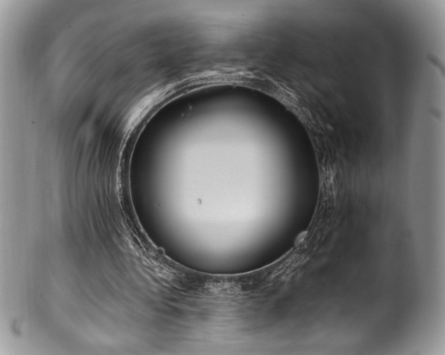 X0000100340340200806051543