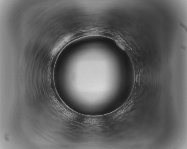 X0000100340341200806051543