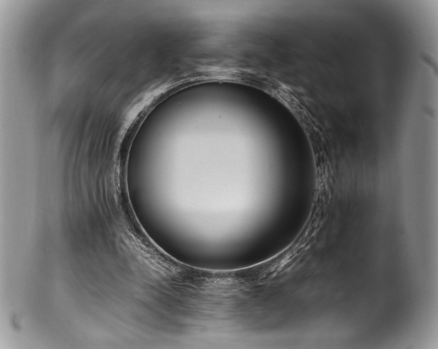 X0000100340342200806051543