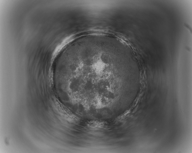 X0000100340343200806051543