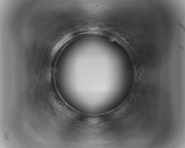 X0000100340344200806051543