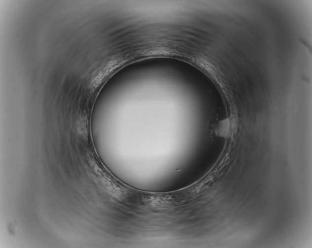 X0000100340345200806051543