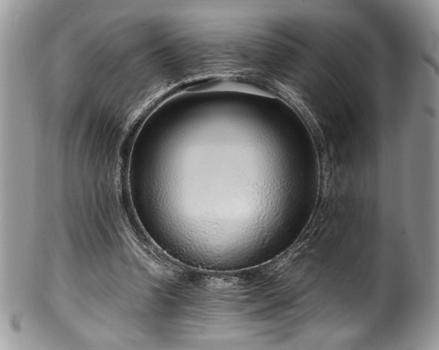 X0000100340346200806051543