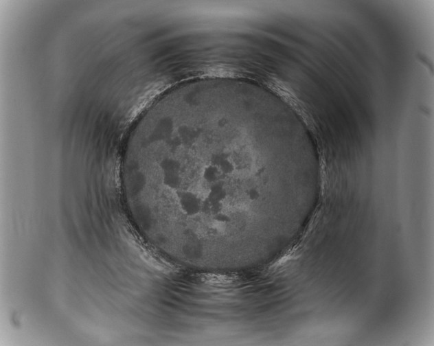X0000100340347200806051543