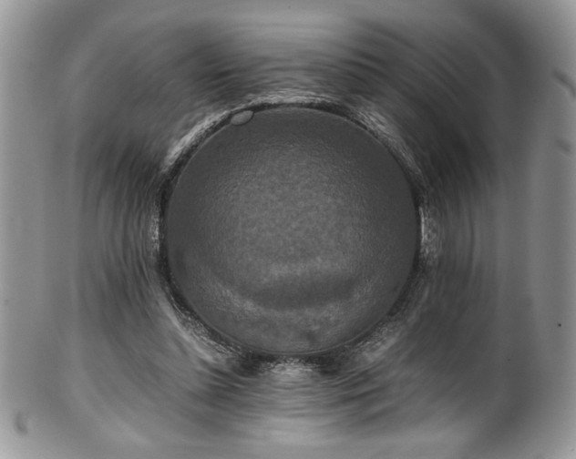 X0000100340348200806051543
