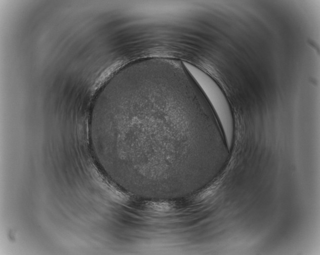 X0000100340349200806051543