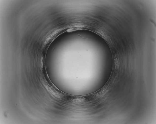 X0000100340350200806051543