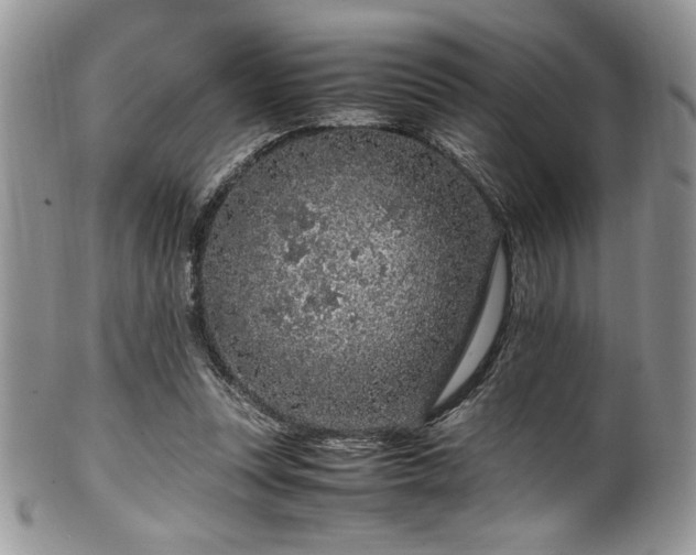 X0000100340351200806051543