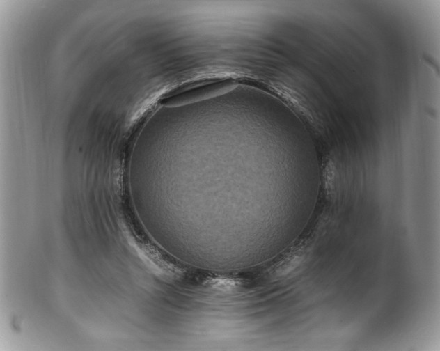 X0000100340352200806051543