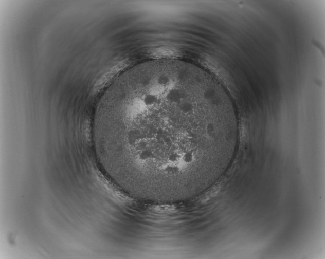 X0000100340353200806051543