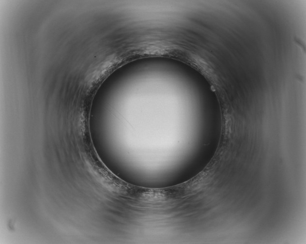 X0000100340354200806051543