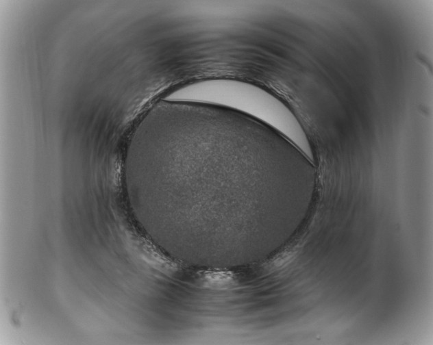 X0000100340355200806051543