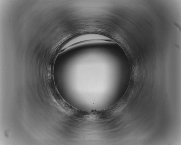 X0000100340356200806051543