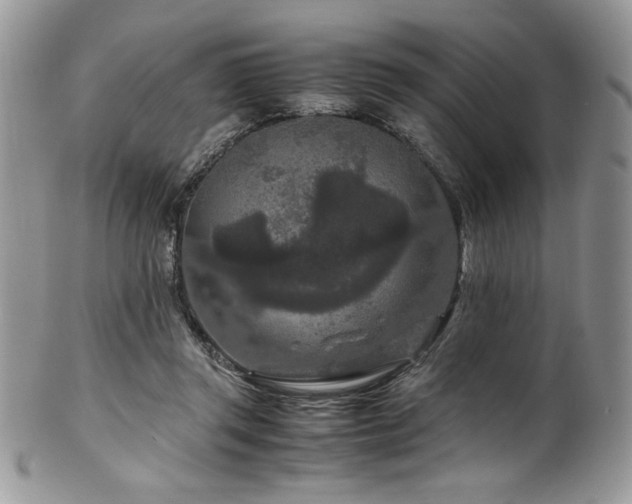 X0000100340357200806051543