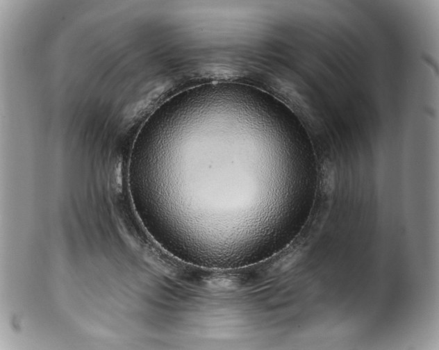 X0000100340358200806051543
