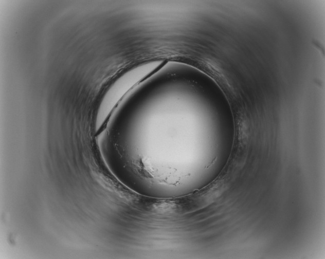 X0000100340362200806051544