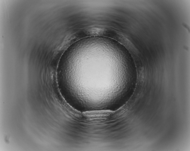 X0000100340363200806051544
