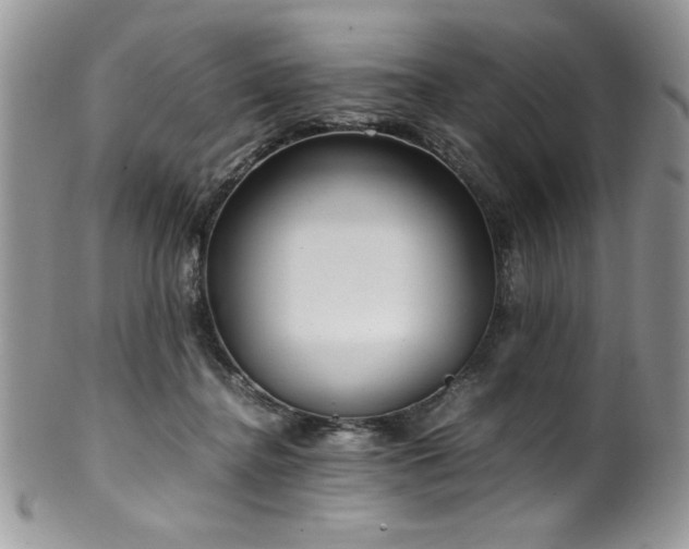 X0000100340364200806051544
