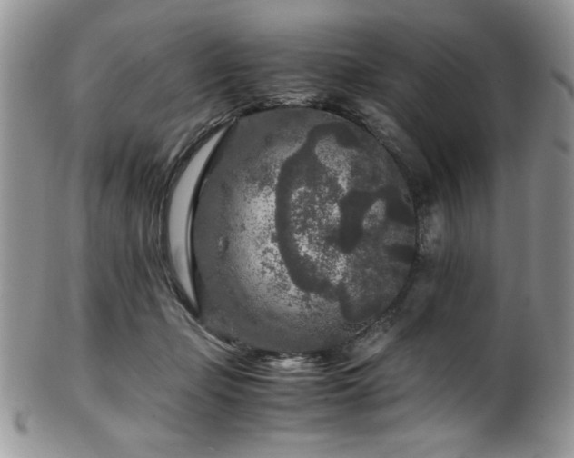 X0000100340365200806051544