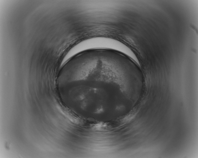 X0000100340366200806051544