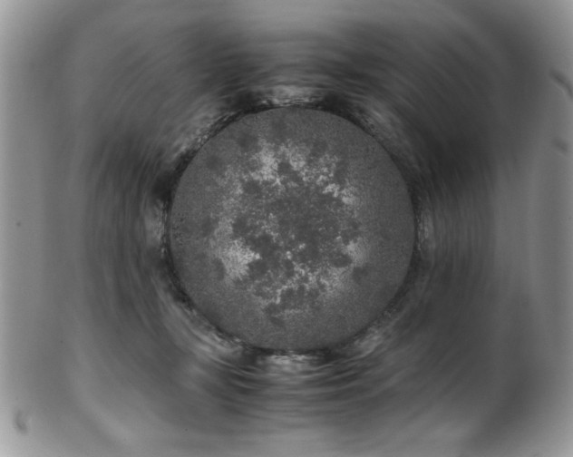 X0000100340367200806051544
