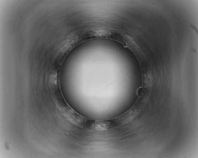 X0000100340368200806051544