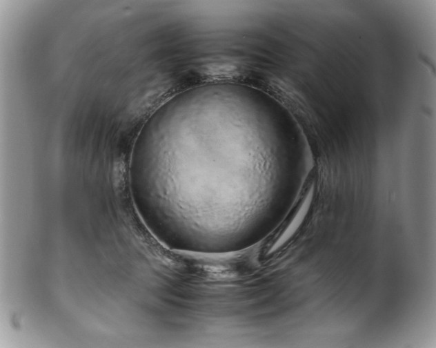 X0000100340369200806051544