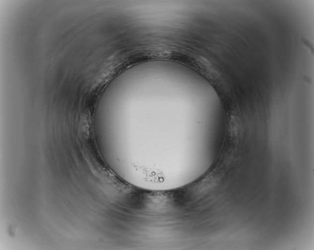 X0000100340370200806051544