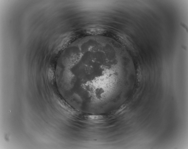 X0000100340371200806051544
