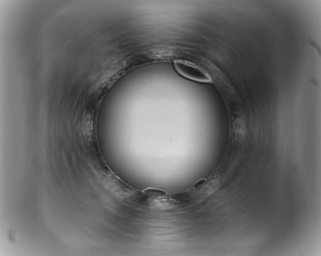 X0000100340372200806051544