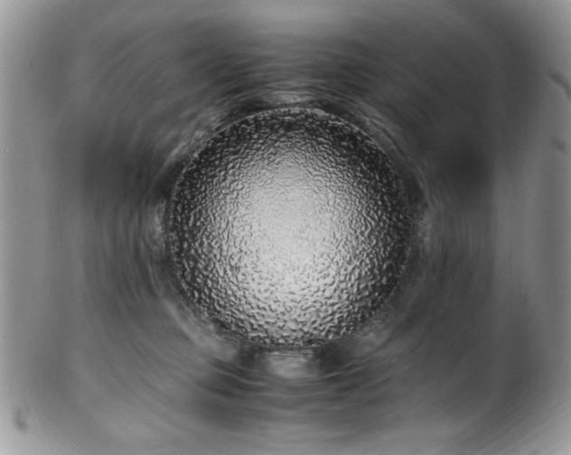 X0000100340373200806051544